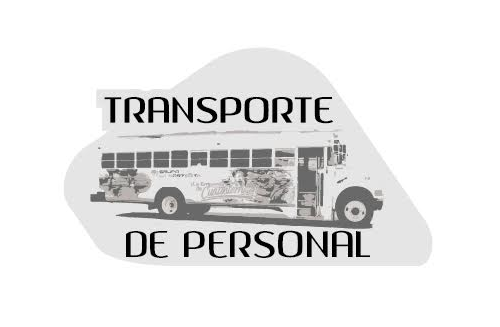 Transporte